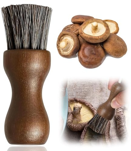 MOLIMOLI Pilzbürste & Gemüsebürste, Pilzmesser mit Bürste Pilzpinsel, Kartoffelbürste Küchenbürste für Pilze (Pfifferlinge) Gemüse Naturborsten, Hitzebeständig