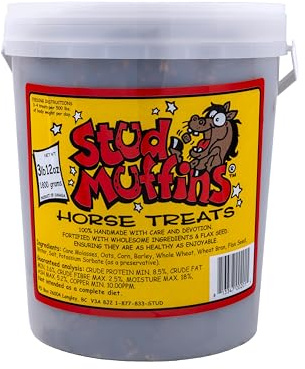 60oz Horse Treats Bucket - 4lb Stud Muffins Horse Treats Bulk Pack