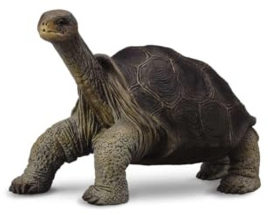 Collecta - 3388619 – Figur – Wildtiere – Galápagos Riesenschildkröte