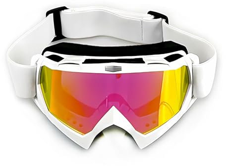 4-FQ Motocross Brille, Motorradbrille, Hochwertige Off Road Racing Crossbrille, Anti Fog UV400 Schutzbrille Sportbrille Retro Radbrille für ATV Dirt Bike(Weißer)