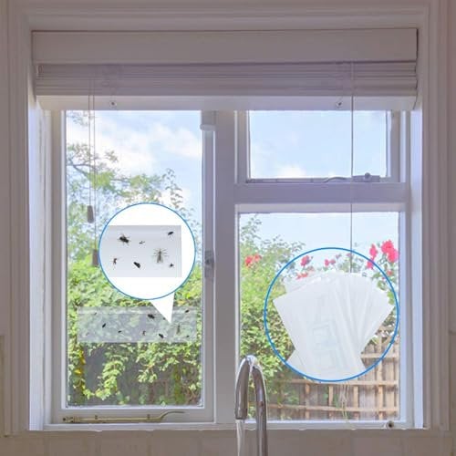 Fullsexy 30 Stück Fenster Fliegenfallen Insekten - Fallen, Fruchtfliegenfalle für Küche, Fensteraufkleber zum Einfangen von Fliegen MEHRWEG