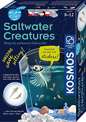 KOSMOS 616649 Fun Science - Wuselnde Salzkrebse mehrsprachige Version (HU, CZ, SK, PL, nicht DE) Erwecke die Urzeit zum Leben, Experimentierset für Kinder