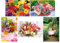 50 Grußkarten mit Umschlag Blumen neutrale Glückwunschkarten Klappkarten Hüllen 991-5304