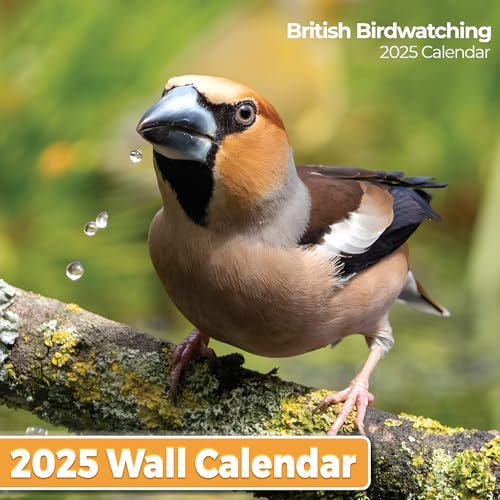 OFFICIAL British Birdwatching Calendars 2025 (Extra Large) A3 2025 Calendar Community Submitted Bird Watching Wildlife Month to View Home Wall Planner