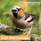OFFICIAL British Birdwatching Calendars 2025 (Extra Large) A3 2025 Calendar Community Submitted Bird Watching Wildlife Month to View Home Wall Planner