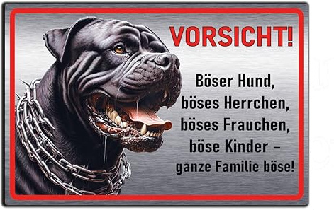 Vorsicht Hund Schild lustig – Warnschild Hund für Garten, Zaun & Haustür – Wetterfestes Hundeschild aus Aluminium Verbund in Edelstahl-Optik – Lustiges Metallschild „Böser Hund“ (22,5x15 cm)