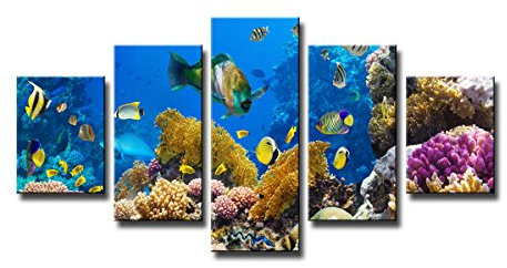 Visario 5554 Bilder und Kunstdrucke auf Leinwand Bild 160 x 80 cm Unterwasser Fische fünfteilig