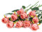 DuHouse Künstliche Seidenrosen, 10 Stück, Lange Stiele für Hochzeit, Party, Dekoration (Rosenrot)