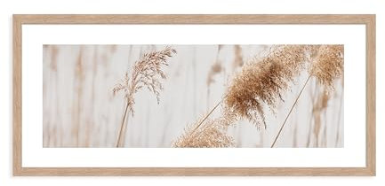 artissimo, Design-Edition, gerahmtes Design-Poster im Panorama-Format, 71x30cm, PE6628-ER, Gräser: Pampas-Gras, Bild mit Rahmen länglich, skandinavisches Design, Wand-Deko weiß beige
