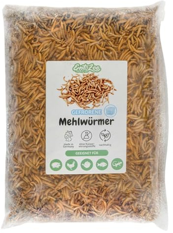 EntoZoo Gefrorene Mehlwürmer - Premium Mehlwürmer Vogelfutter auch für Hühner & Fische Proteinreiches Tierfutter | Alternative zu getrockneten Mehlwürmern | ohne Zusatzstoffe | EU Herkunft -2kg