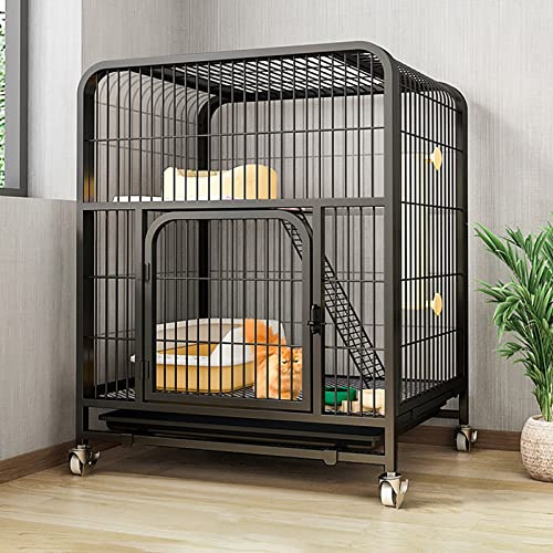 Katzenkäfig mit Rollen - 2-stöckiges Laufgitter und Gehege mit Rampe, Betten und Hängematte für den Innen- und Außenbereich