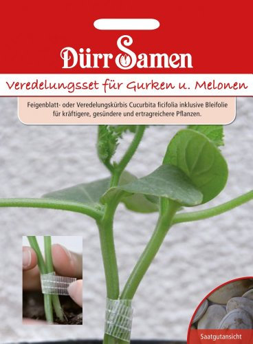 Gurken (Veredlungsset für Gurken und Melonen)