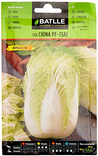 Semillas Batlle – Col Chinois Pet-Sai, Vert