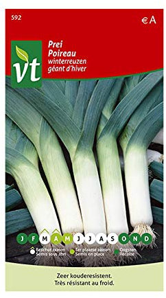 Semillas de puerro gigante de invierno - Valor nutricional y culinario