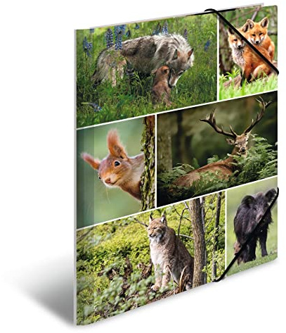 HERMA Sammelmappen A4 Waldtiere Set, 3 Stück, Kinder Eckspanner-Mappen aus Pappe mit Tier Motiv, Gummizug, Innenklappen und Innendruck für Jungen und Mädchen