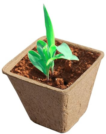 Kompostierbare Pflanzgefäße Blumen-Keimstarter Und Gemüse-Anbauwerkzeuge