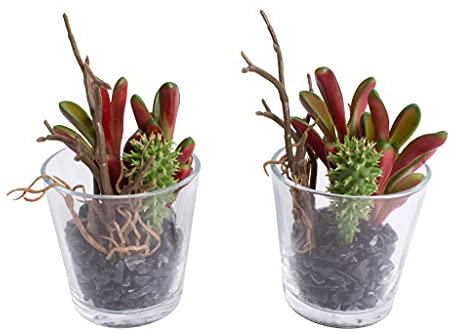 Nova-Nature künstliches Sukkulenten und Kakteen Arrangement im Glas (2 Stück) (grün-rot)