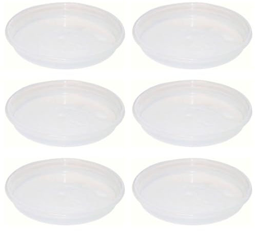Acan Tradineur - Pack de 6 Platos de plástico Transparente para Maceta, Bandeja, platillo Redondo para Tiesto de Interior, Exterior, jardín, terraza o balcón, Ø 23,5 cm