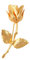 Generic - Broche Or Plaqué 24k Fleur Rose - Jaune Doré - Unisex - 6,7x4,3cm
