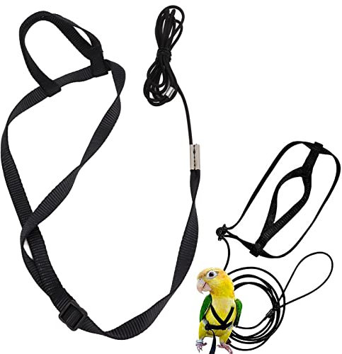 Harnais et Laisse D'oiseau pour Perroquet, Laisse de Vol de Perroquet de Harnais Réglable D'oiseau avec la Boucle Réglable pour Le Cacatoès Gris Africain