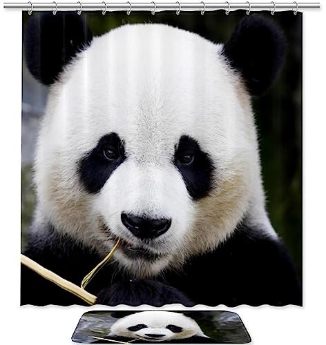 KQNZT Badezimmer-Sets mit Duschvorhang und Teppich, Accessoires, Dekor-Badematte und 12 Haken,Tierischer Panda