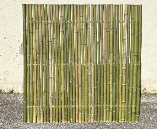 Sichtschutzwand aus naturgrünen Bambus 180x180cm mit Rohren 4-6cm breit von bambussi.com