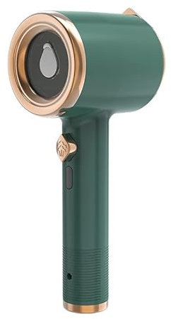 PAIKOE Portable Mini Ironing Machine, Travel Steamer Iron for Clothes, Travel Iron, Iron for Crafts Quilting, Travel Iron Household, Handheld Steam Iron for Clothes Portable Dry Wet (Green)