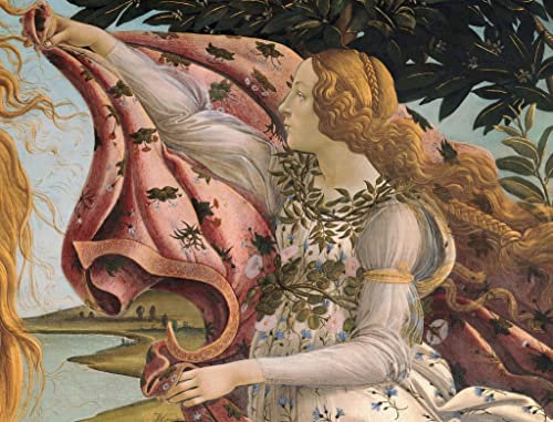 MNMSBFXQ Berühmt Hochwertiges Leinwanddruck Leinwand Wandbild Kunstdruck Geburt Der Venus Von Sandro Botticelli für Flurdekoration 60x90cm