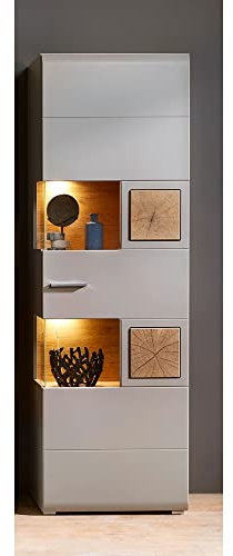 Lomadox Glasvitrine in Basalt mit Absetzungen in Eiche Hirnholz Nb. und LED Beleuchtung, B/H/T: ca. 65/205/37 cm
