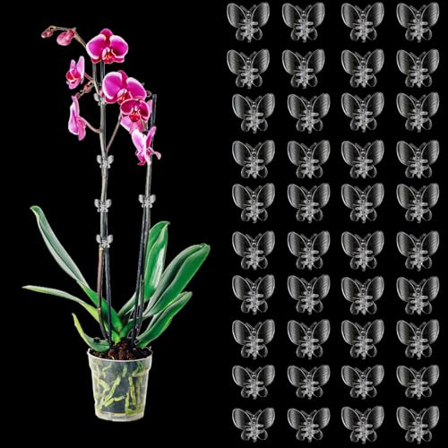ACAREY 40 Stück Pflanzenclips Orchideen Klammern, Transparent Pflanzenklammern, 3.5cm Garten Deko Pflanzen Clips für Tomaten,Rosen,Orchideen usw, Pflanzen Klammern für Unterstützen und Halten Pflanze