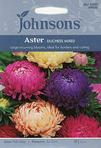 Johnsons Seeds - Pictorial Pack - Flower - Aster Duchess Mixed - 250 Seeds