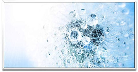 Pusteblume mit Tropfen ca. 130x70cm Wandbild inklusive Schattenfugenrahmen weiss - Panorama Leinwand Bild XXL Format Wandbilder Wohnzimmer Wohnung Deko Kunstdrucke