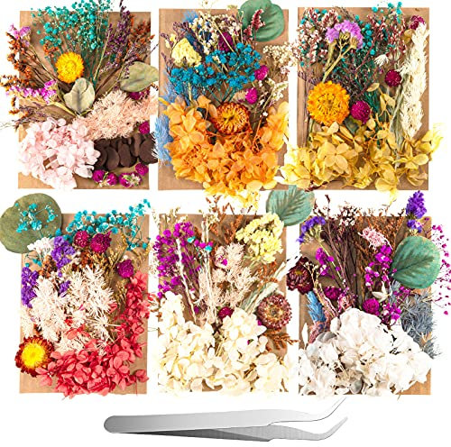 Nuanchu 200 Pcs Natural Dried Pressed Flowers and Leaves Resin Real Dried Flower Leaves Mixed with Tweezers for DIY Jewelry Candle Soap Vase Making Nail Card Scrapbook Art Craft Floral Decors