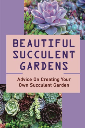 Beautiful Succulent Gardens: Advice On Creating Your Own Succulent Garden