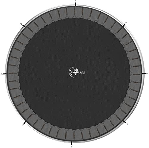 Baunsal® Trampolin Sprungtuch, Sprungmatte – erhältlich in vielen Größen | Ersatzmatte, Sprungnetz, Matte reißfest, robust, langlebig, reißfest, UV-beständig ein hochwertiges Ersatzteil