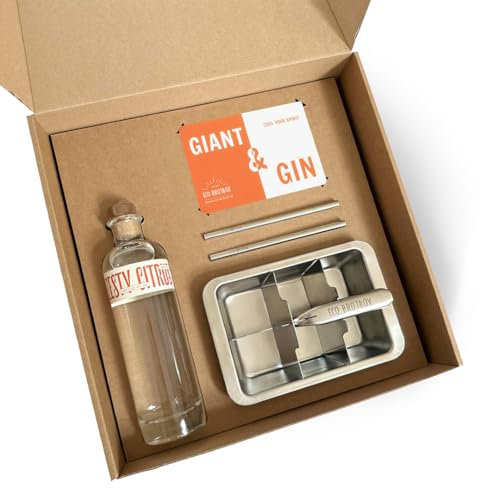 Giant & Gin Geschenkset von ECO Brotbox | Eiswürfelform für riesen Eiswürfel & kurze Trinkhalme aus Edelstahl | 350 ml Gin von DSM | Plastikfrei verpackt