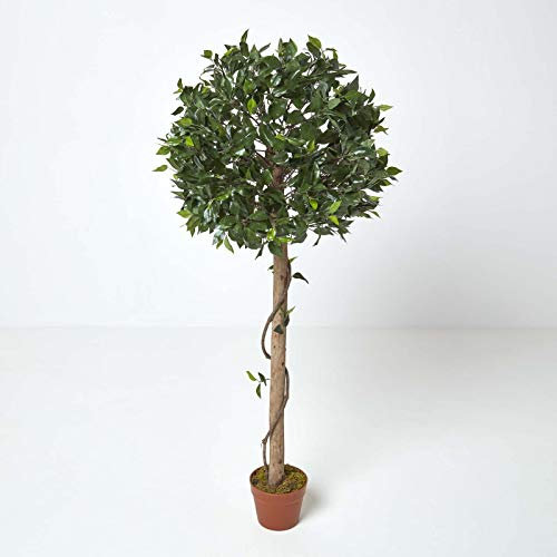 HOMESCAPES Künstlicher Ficus benjamini grün 125 cm, Formschnitt-Baum Geigenfeige mit Echtholz-Stamm im Topf – Kunstbäume wie echt