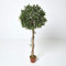 HOMESCAPES Künstlicher Ficus benjamini grün 125 cm, Formschnitt-Baum Geigenfeige mit Echtholz-Stamm im Topf – Kunstbäume wie echt