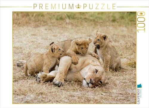 CALVENDO Puzzle EIN Motiv aus dem Kalender Emotionale Momente: Löwenbabys - so süß. | 1000 Teile Lege-Größe 64 x 48 cm Foto-Puzzle für glückliche Stunden