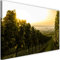 Leinwandbild XXL Landschaft Wandbild Kunst Weinrebe Natur Grün 120x80 cm