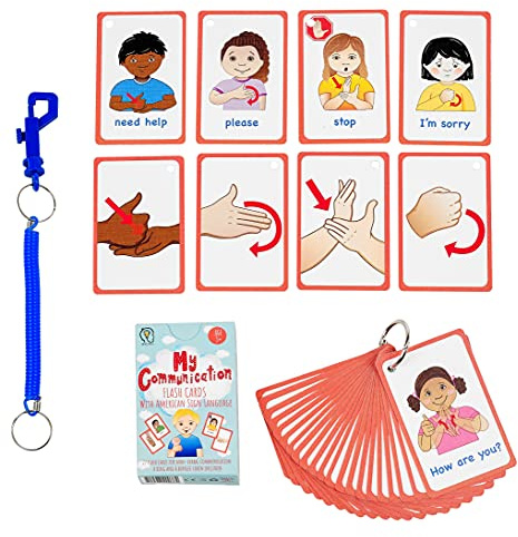 Special Needs My Communication ASL Cards for Speech Delay Non-Verbal or Deaf Children and Adults. 27 Visual Aid Cards, Special Ed, SEN Autism Resource