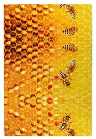 1000 Holzpuzzles in Kunststoffboxen, Biene auf Waben, Umweltschutz und kein Geruch