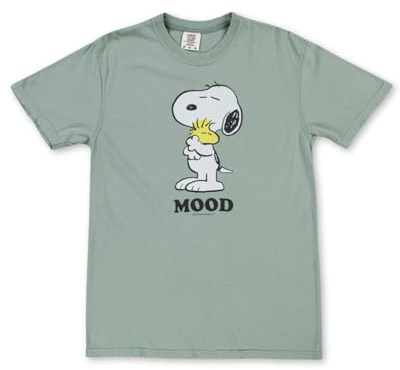 Riot Society Womens Short Sleeve Graphic Fashion T-Shirts, Peanuts Snoopy and Woodstock Mood (Bay Comfort Colors), M