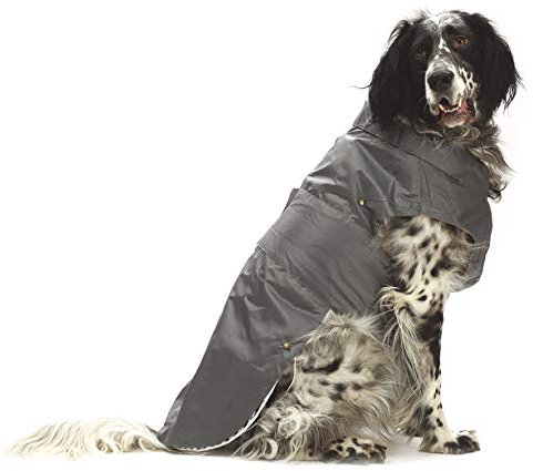 CROCI, MONTREAL, Cappotto per cani, Mantello invernale, Giacca impermeabile, Taglia 30 cm, Grigio