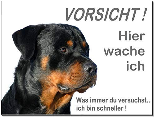 Rottweiler-Schild-3 Größen-Aluminium Verbund-Hund-Tierschild-Hunde-Warnschild-Hinweisschild (1450-28 -200 x 150 x 3 mm mit Klebepads)