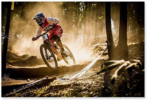 LBMED Leinwand Druck Poster Downhill Bike Sporter Retro Art Poster Ölgemälde für Veranda Dekor Wandkunst Kunstwerk Malerei Kunstdrucke Bild 23.6x35.4(60x90cm) Kein Rahmen