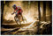 LBMED Leinwand Druck Poster Downhill Bike Sporter Retro Art Poster Ölgemälde für Veranda Dekor Wandkunst Kunstwerk Malerei Kunstdrucke Bild 23.6x35.4(60x90cm) Kein Rahmen