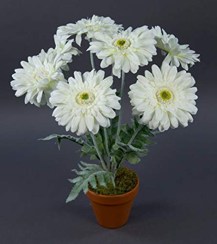 Gerbera 45cm weiß im Topf LM Kunstpflanzen Kunstblumen künstliche Pflanzen Blumen