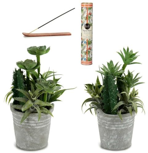 HOMEVID Plantas Artificiales Decorativas con Maceta Pack 2 Unidades para Interiores Plantas Cactus Suculentas + Incienso con Soporte Quemador