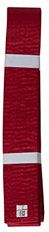 Lisaro kampfsportgürtel Karate Judo Taekwondo Ju Jutsu BJJ Gürtel Gr. 160-300 cm (rot, 240)